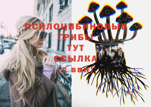 ПСИЛОЦИБИНОВЫЕ ГРИБЫ Михайловск