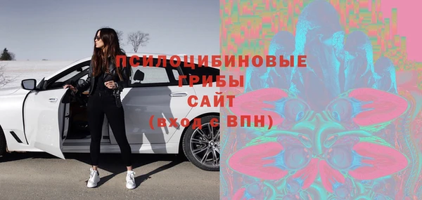 ПСИЛОЦИБИНОВЫЕ ГРИБЫ Михайловск